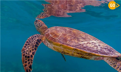 Excursii pe plajă și pe coastă